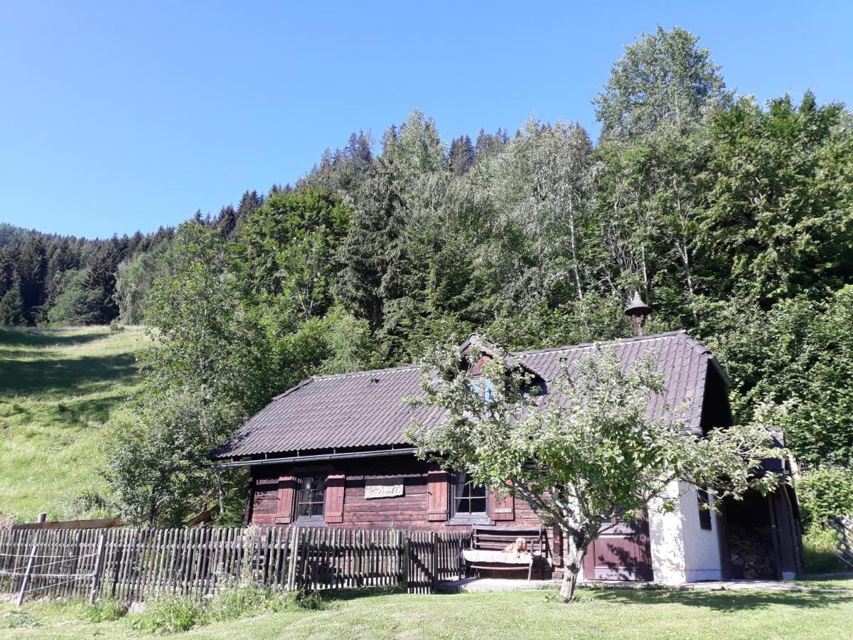 Umundumhuette Villa Katsch an der Mur Exterior foto