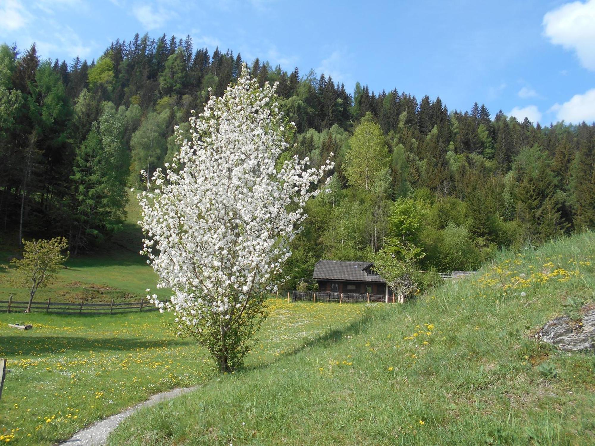 Umundumhuette Villa Katsch an der Mur Exterior foto