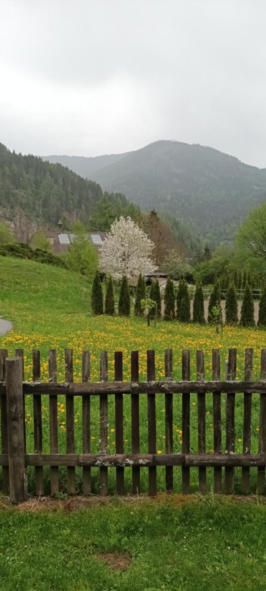 Umundumhuette Villa Katsch an der Mur Exterior foto