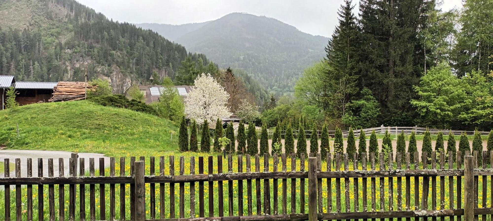 Umundumhuette Villa Katsch an der Mur Exterior foto