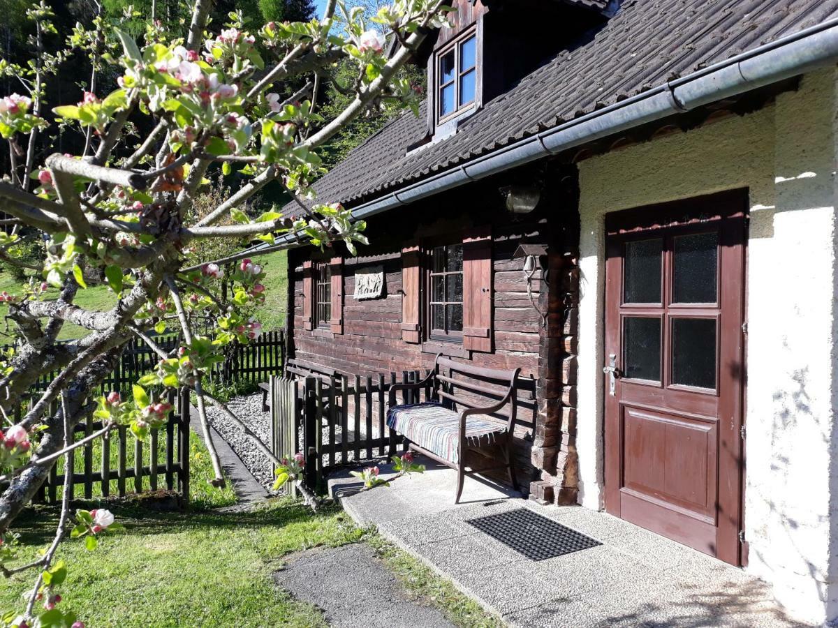 Umundumhuette Villa Katsch an der Mur Exterior foto