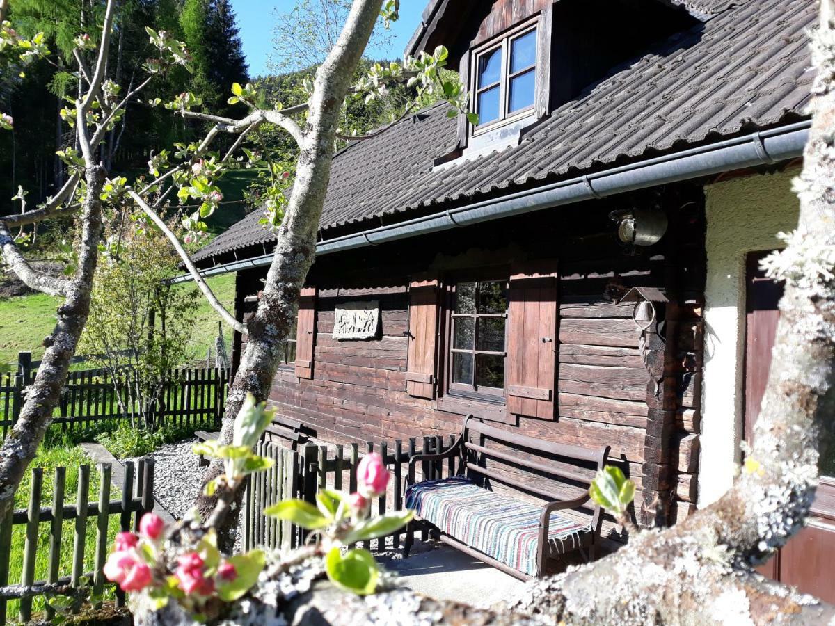 Umundumhuette Villa Katsch an der Mur Exterior foto